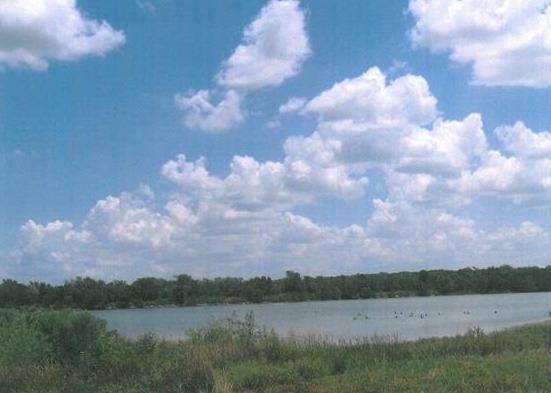 Goose Refuge 2016_Page_3_thumb.jpg